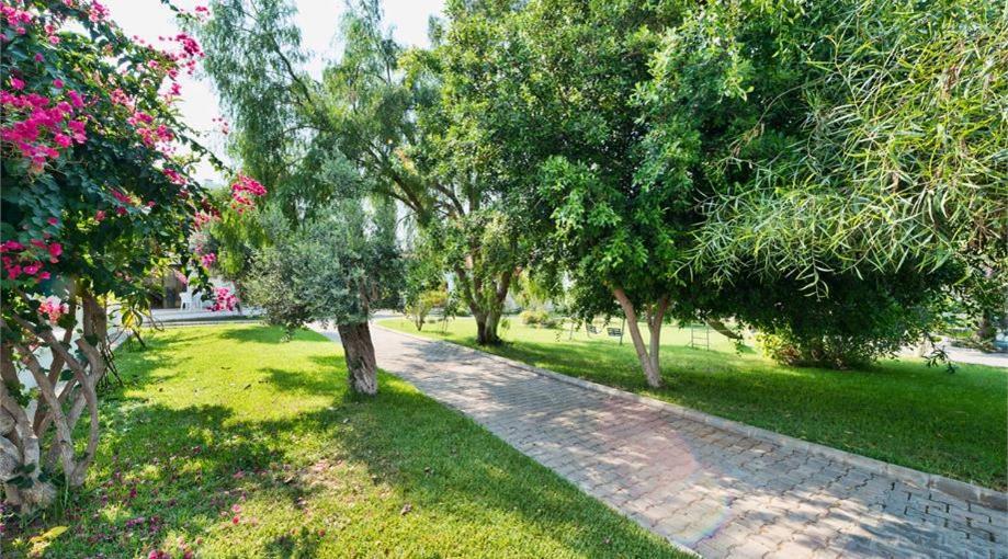 Bare Hill Holiday Apartments Krini Buitenkant foto