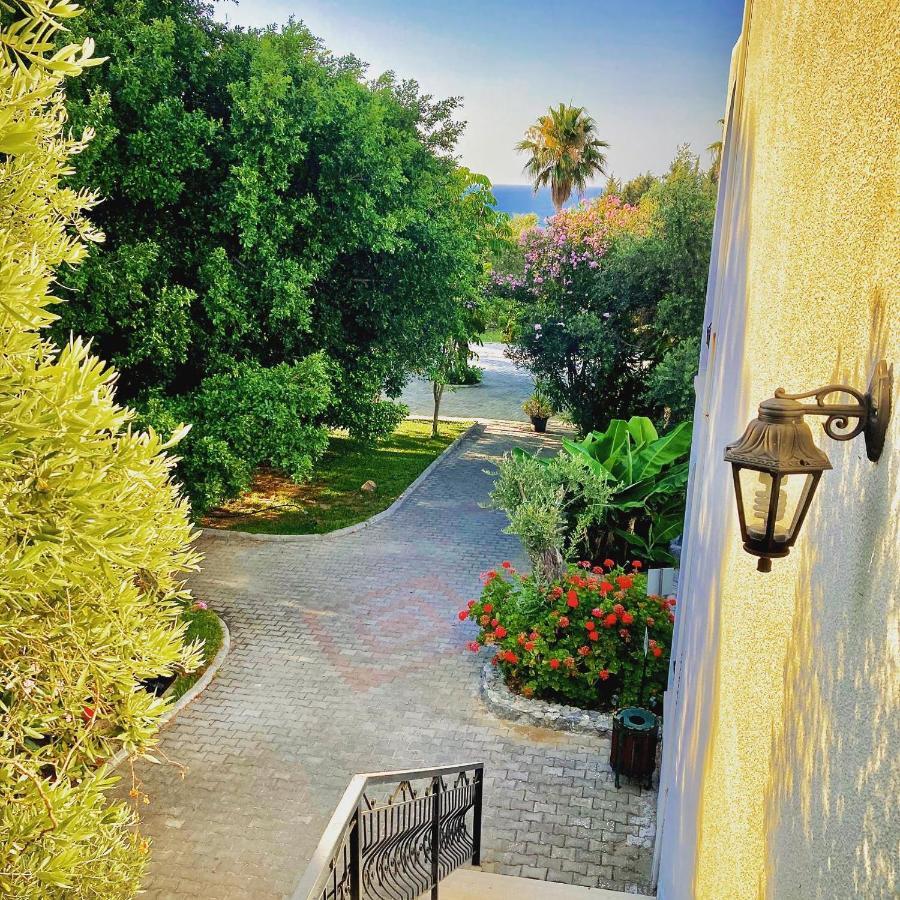 Bare Hill Holiday Apartments Krini Buitenkant foto